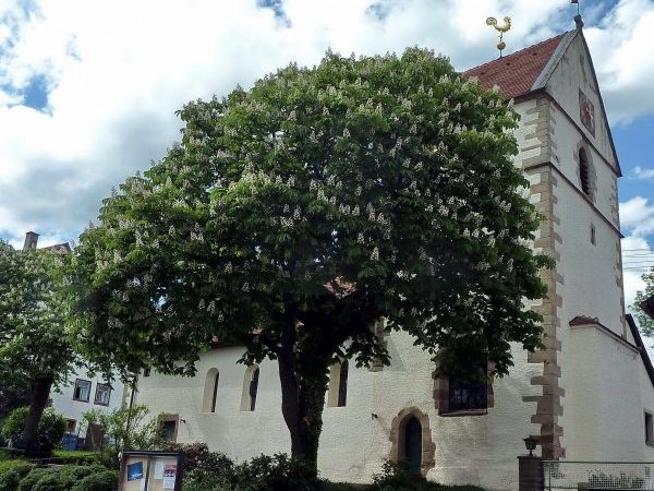 Evangelische Kirche