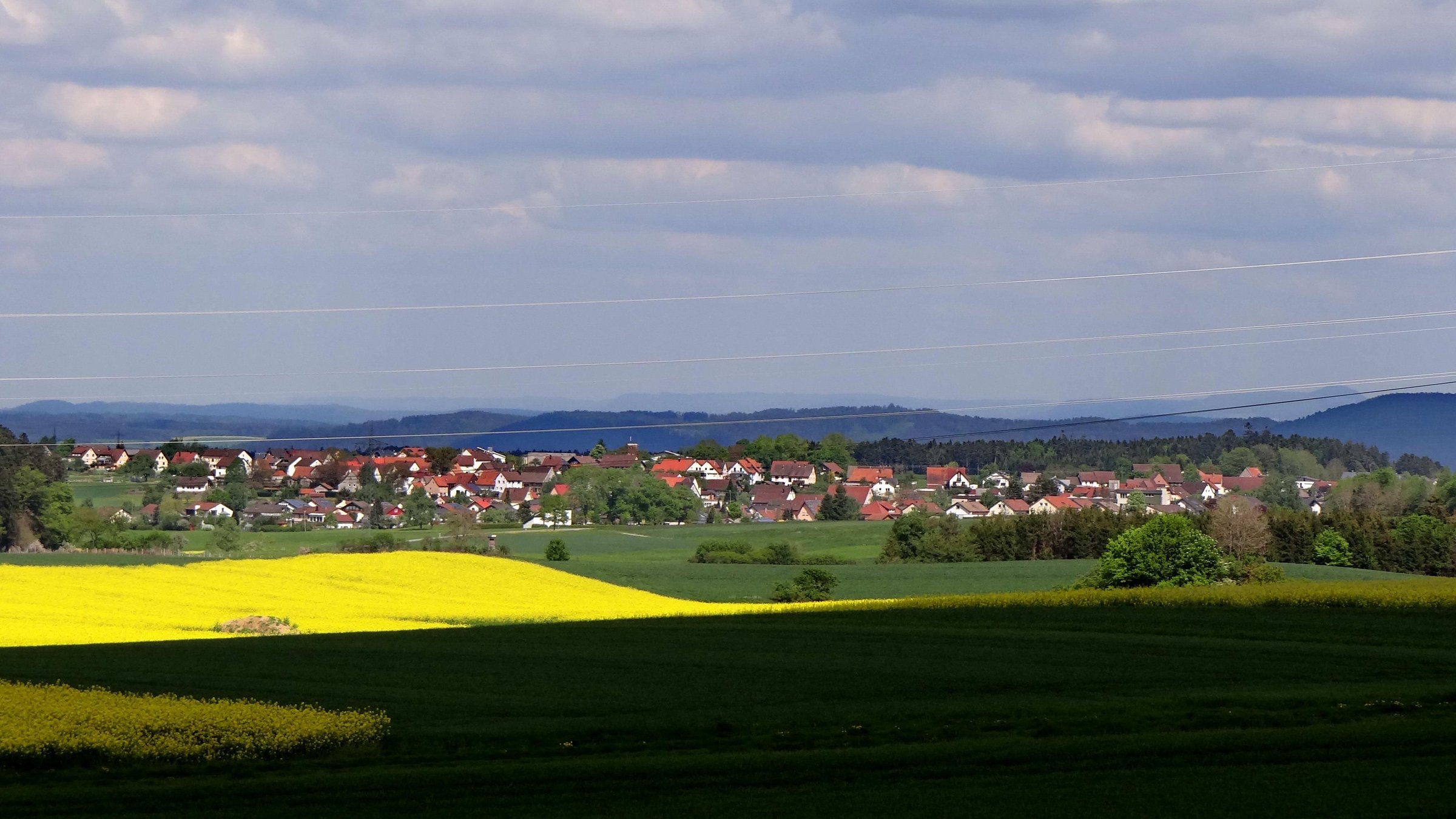 Weiden