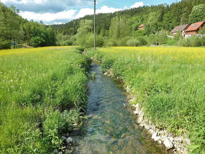 Heimbach
